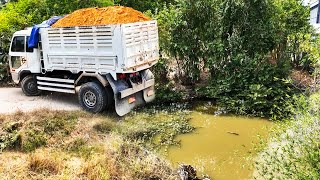 Download Lagu Full Video Start To Finish Project! Landfill Delete Pond By Skills Dozer Pushing Soil with 5t Truck MP3