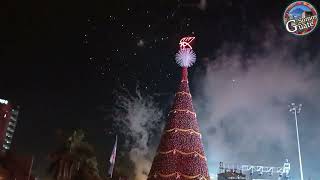 Gran Inauguracion Arbol Gallo 2,023/ Guatemala.