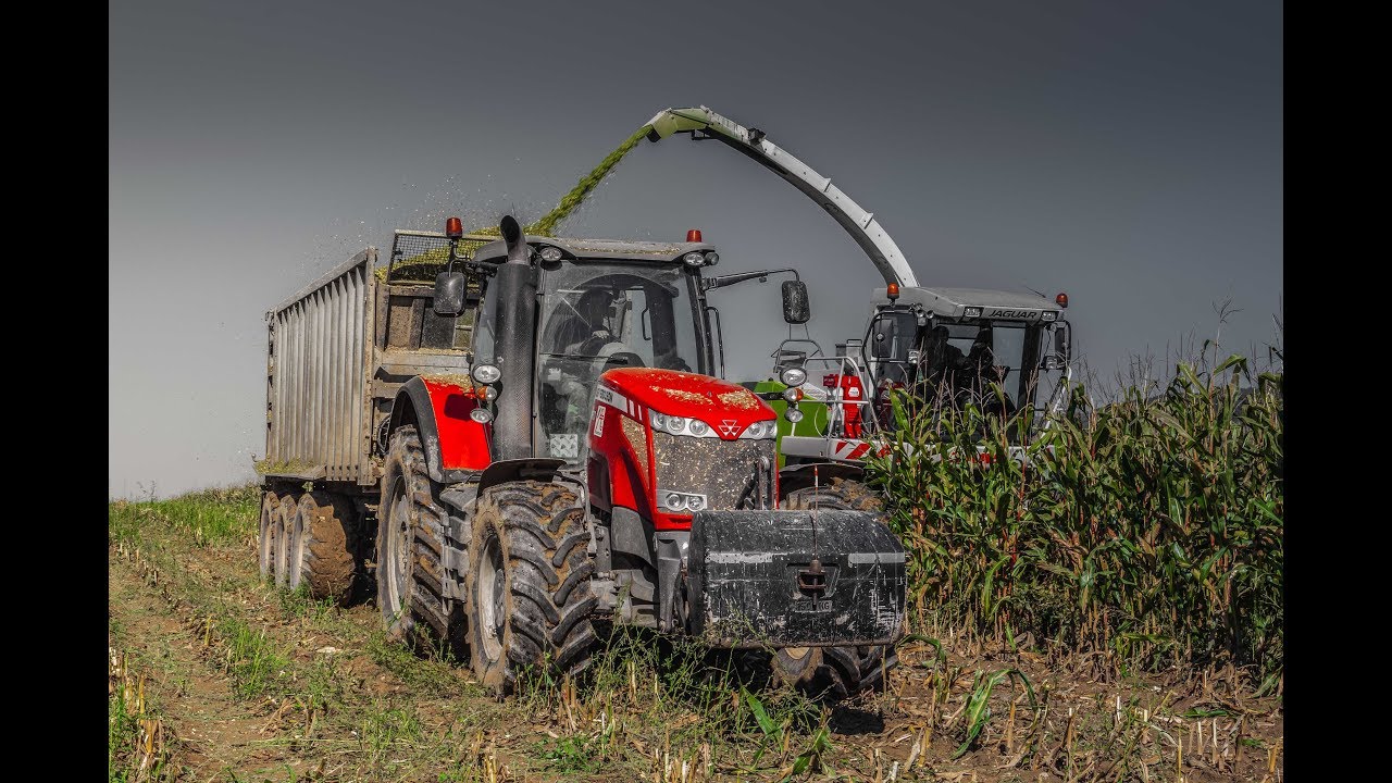 Silaže 2017 | Farma Agro-Dúbrava - Kobyly | Claas • JD • JCB • MF |  | © Agro Web Production