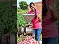 Onion 🧅 Ki Mesin #youtube #farming