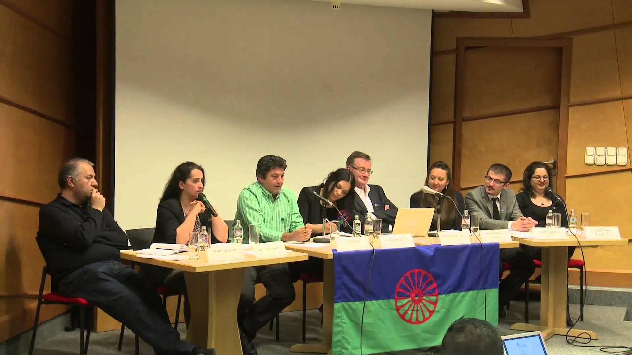 ⁣Romani Voice in Academia: The Representation and Contribution of Roma