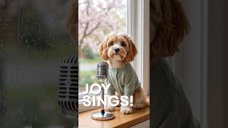 Like Spring Rain by JOY