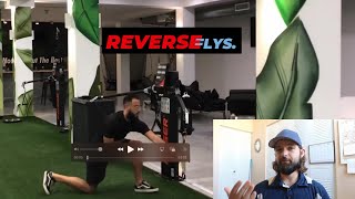 Throw back 1/2 kneeling reverse Flies