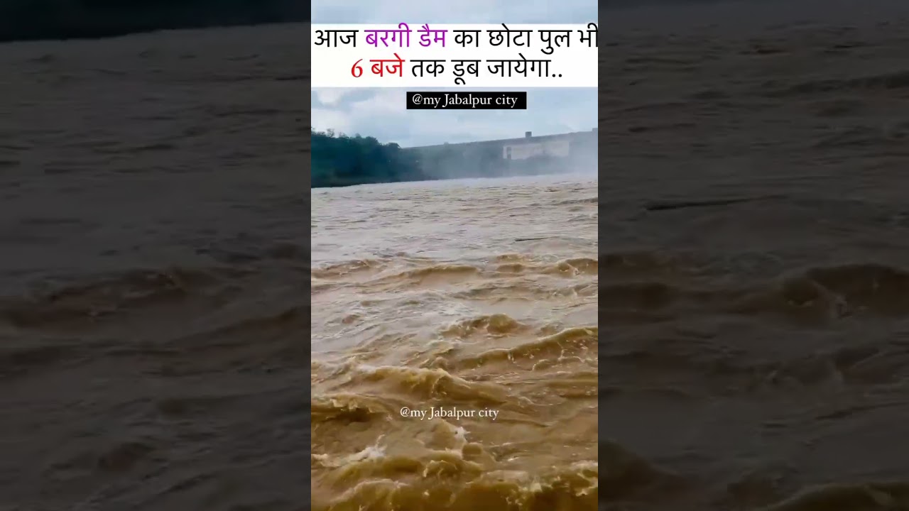 bargi dam jabalpur carrent update 12 August 2024