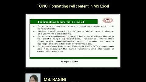 Formatting cell content in Ms Excel, Class 7