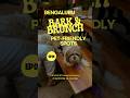 Bark&Brunch | Ep01 #petfriendly #bangalorevlogs #bengaluru #dogshorts #viralvideo #viralshort #pets