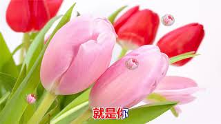 今生遇見你   祁隆/任妙音