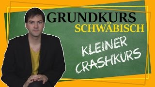 Wir können alles außer Hochdeutsch - schwäbischer Crashkurs - Grundkurs Schwäbisch