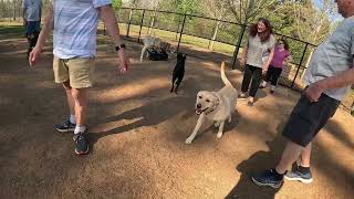 Friday frolicking with furry friends.