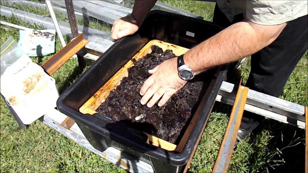 Solar Wax Melter at Pop's Shack - Version Two Update