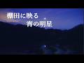 棚田に映る宵の明星（SONYα7SⅢリアルタイム星空動画）