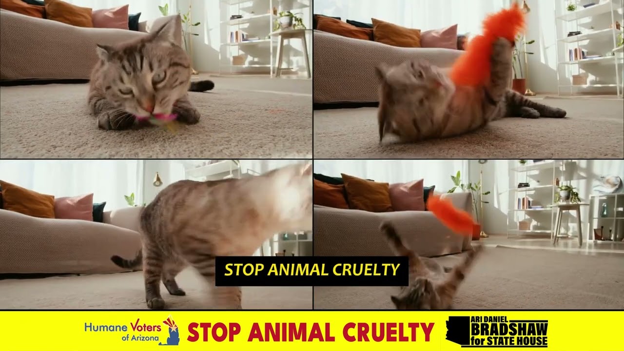 Humane Voters of Arizona Endorse ARI DANIEL BRADSHAW for State House!