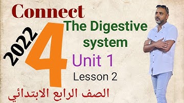 Junior 4 Connect unit 1 lesson 2 "Digestive system" Frist term