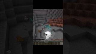 When My Friend Shows His Skills In Minecraft 