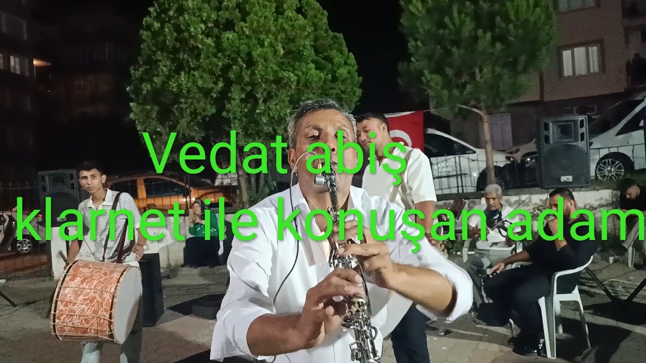 Vedat abiş