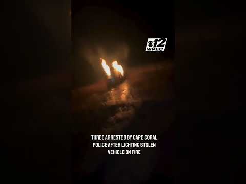 Video captured teen suspects setting stolen car on fire, Florida police say