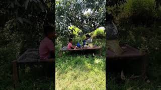 पेड़ों की छाँव मे  खाना बहुत स्वाद लगा #nature#education #minivlog #reelsindia #villagelifestyle