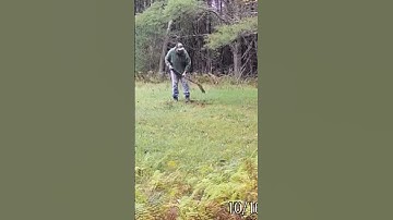 Making a mock scrape in the back meadow// #2023 #tactacam #new #scrape #deer #hunting #making