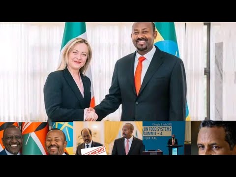 ከጅቡቲ ወደ በርበራ ወደብ ጆርጅያ ሚሎኒ በጅማ የግብጽ የድርድር ተማጽኖ የራያ ህዝብ ተጋድሎ Red Sea Assab