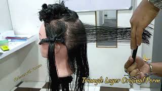Famous Triangle Layer Original Form || Hair cut Profile