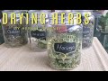 How To Dry And Store Herbs | My Herbal Journey