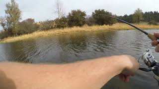 Palouse River Fishing Oct 4 2018