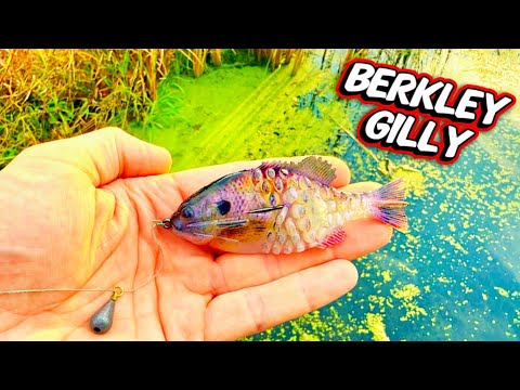 CRAZY Realistic Bluegill Lure! (Berkley Gilly)