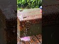 Hand cleaning rusted metal box 202605101203