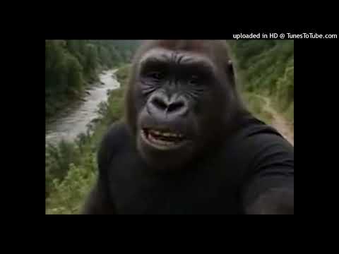 AM Back By James N SPIT FIER RECORDS 