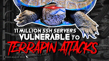 11 million SSH servers vulnerable to Terrapin attacks