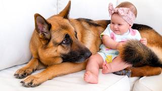 Baby Finds Comfort Next to Her German Shepherd screenshot 4