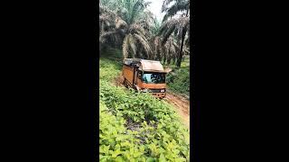 Sopir Batak Bawa Fuso Gila