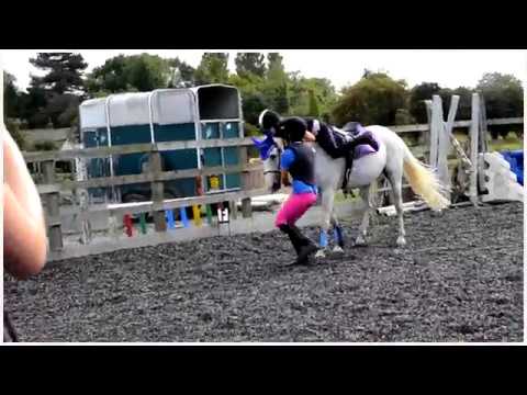 throwback-funny-horse-videos-|-equestrian-year-of-2014-|-bloopers/fails