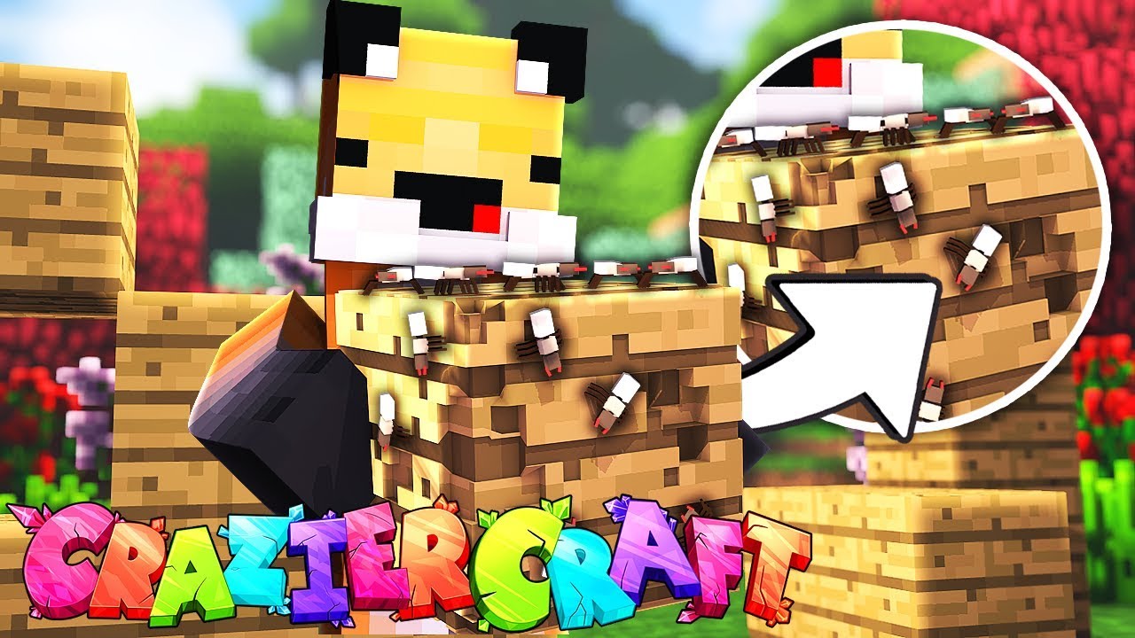NEW CRAZYCRAFT SAME OLD TERMITES! - CrazierCraft EP 01
