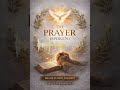 THE PRAYER 🙏 | A Cry from the Heart #music #walkinspiritoftheholyspirit