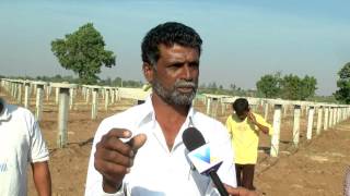 Vasupujya Dragon Fruit Farm INDIA 04