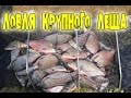 ЛОВЛЯ КРУПНОГО ЛЕЩА.  Лучшая моя фидерная рыбалка!