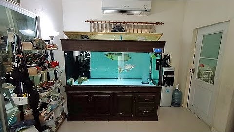 Man ศาลายา - งานเคลื่อนย้ายตู้เฟอร์ 72 30 30 (ตู้มีปลา) ภายในบ้านพร้อมเชื่อม Overflow ใหม่ Set 1