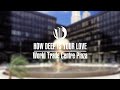 How Deep is Your Love | Plaza Version