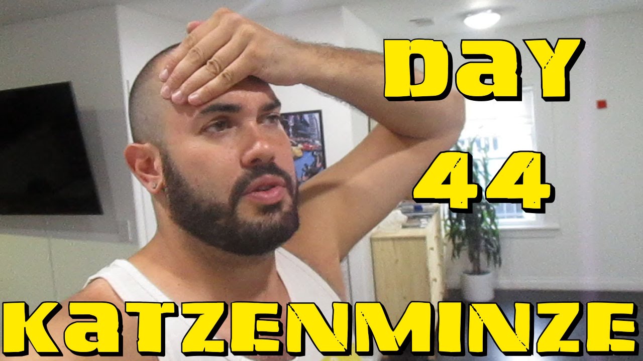 Joey's Fitness Vlog 44 | Katzenminze