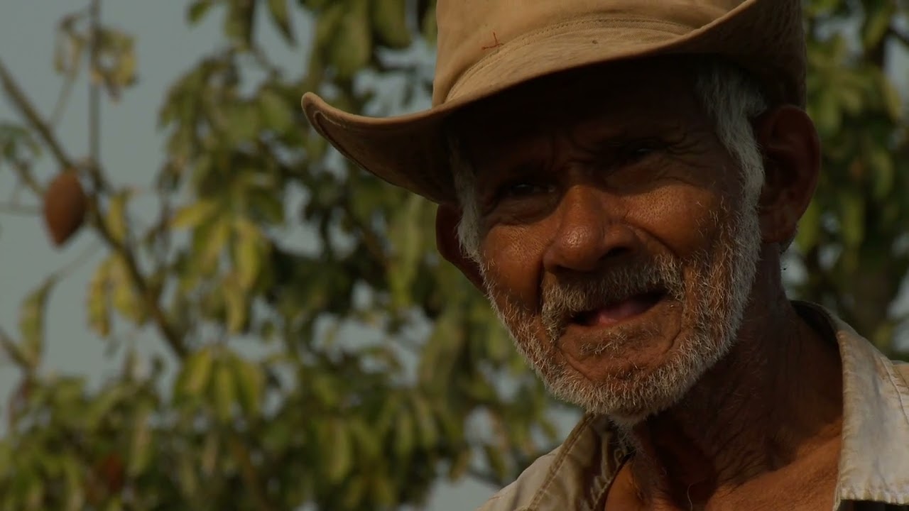 Mexico 2011   20M Esp 1