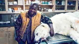 Человек обнаружил древнего паразита, сфотографировавшись с мертвым белым медведем