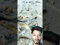 best mud fishing #fishing #freshwaterfish #fish #shorts