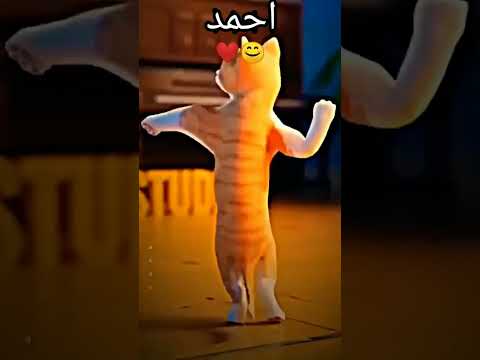 اغنية لي احمد