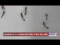 Up to 9 Oklahomans infected with West Nile Virus