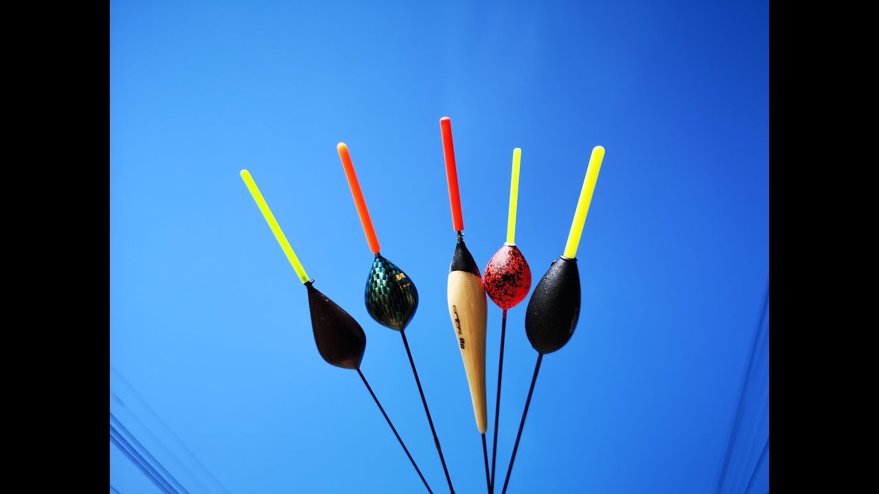 Pecanje Skobalja,Mrene i Plotice na anker ( Shimano Bolognese ) Pecanje na Dunavu