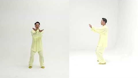24式太极拳 分解版 第二十四式：收势(24 Forms Tai Chi - Form 24: Closing Form)