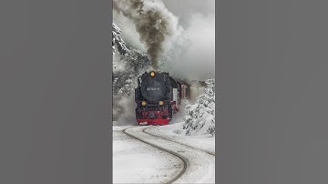 قران كريم بصوت جميل جدا #اكسبلور
