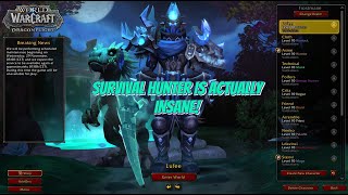 Survival Hunter Is Actually INSANE! - PvP Arena Solo Shuffle Dragonflight 10.2