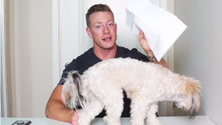 My Bodybuilding Blood Test Results + Q and A | Prep Log Ep. 05